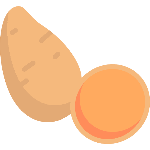 Sweet potato food and restaurant food healthy icon