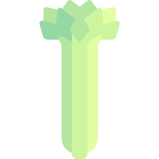 Celery diet vegetable food icon