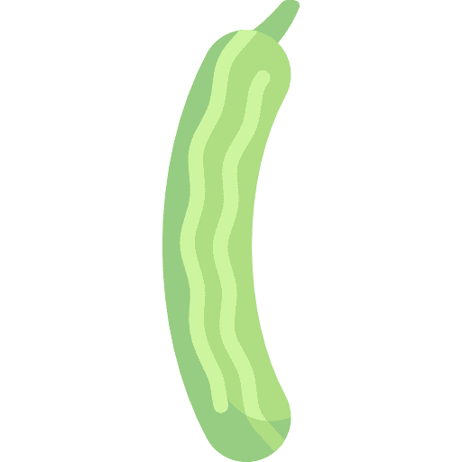 Cucumber vegetarian healthy food organic icon