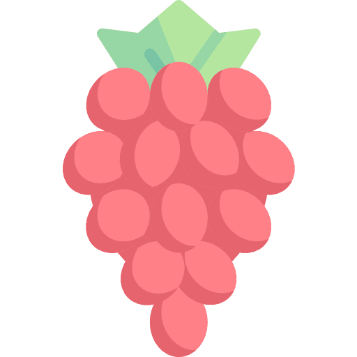 Grapes food and restaurant healthy food fruit icon