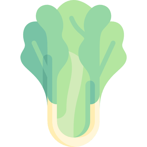 Lettuce vegetarian healthy food diet icon