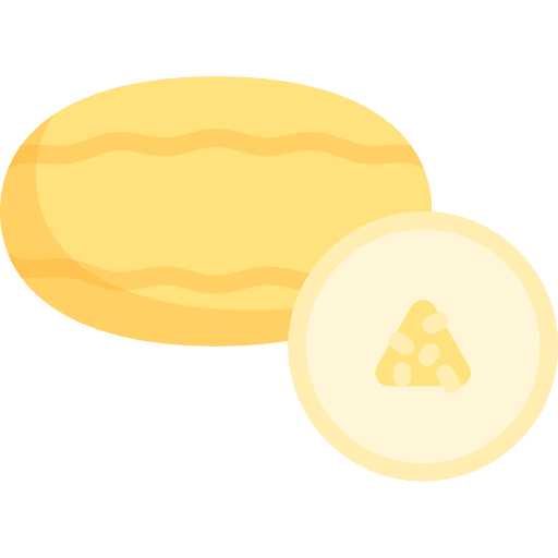 Melon diet healthy food melon icon