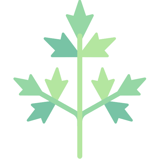 Parsley food vegetarian vegetable icon