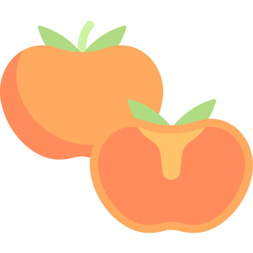 Persimmon food diet persimmon icon