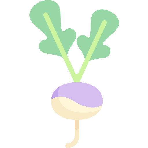Radish healthy food vegan food and restaurant icon