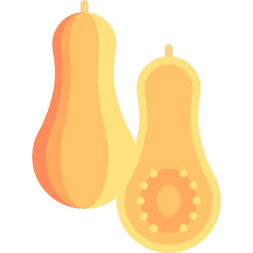 Squash vegetarian food and restaurant healthy food icon