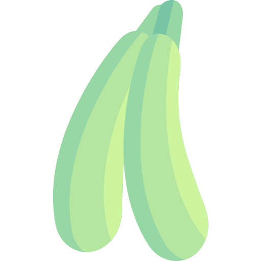 Zucchini organic vegetables diet icon