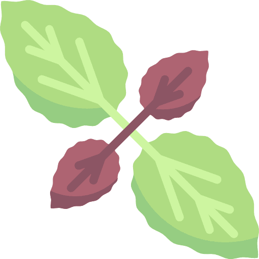 Basil food and restaurant nature healthy food icon