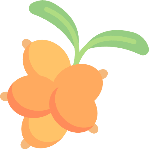 Berries fruit berry berries icon