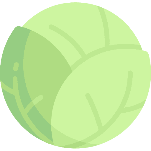 Cabbage cabbage vegetarian organic icon