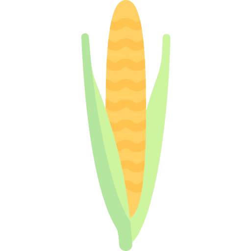 Corn vegan diet food icon