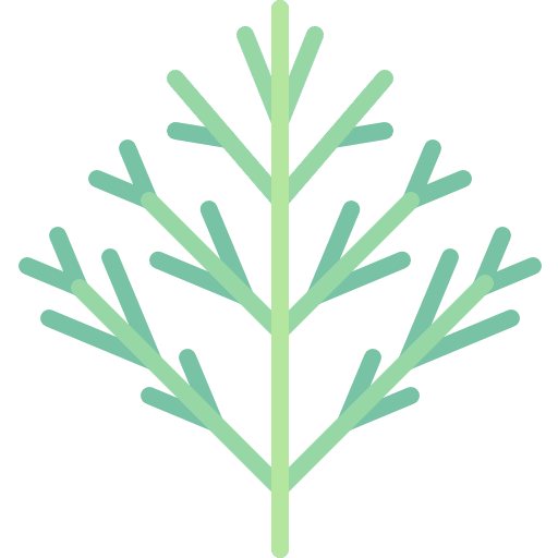 Dill food and restaurant plant aromatic icon