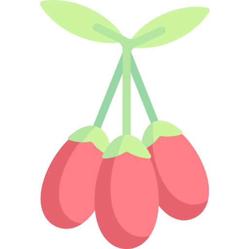 Goji goji fruit vegan icon