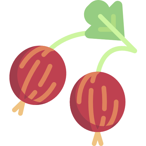 Gooseberry vegan organic food and restaurant icon