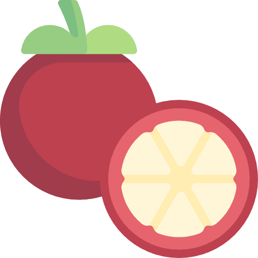 Mangosteen organic vegetarian healthy food icon