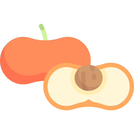 Peach diet peach food icon