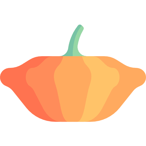 Pumpkin pumpkin vegan vegetarian icon