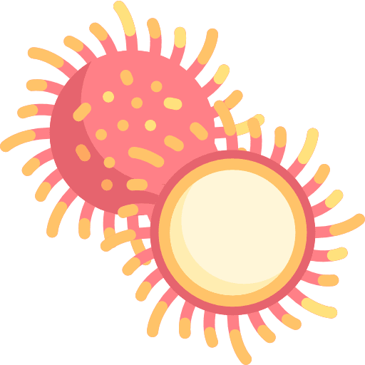 Rambutan rambutan lychee fruit icon