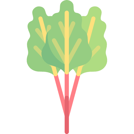 Rhubarb vegetable food and restaurant healthy food icon