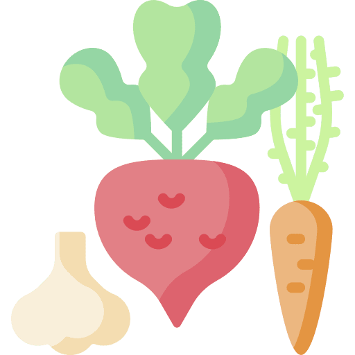 Vegetable beet vegetarian vegetable icon