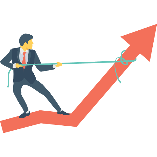 Profits seo and web promotion success icon