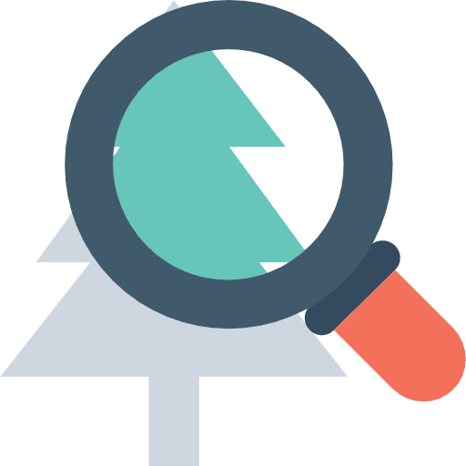 Pine magnifying glass ecology forest icon