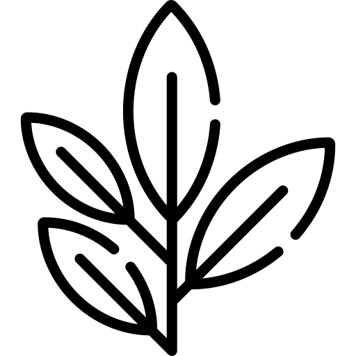 Green tea green tea leaf aroma icon