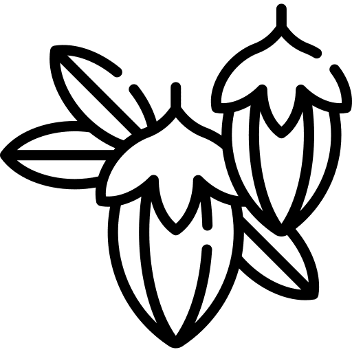Jojoba nature plant dessert icon