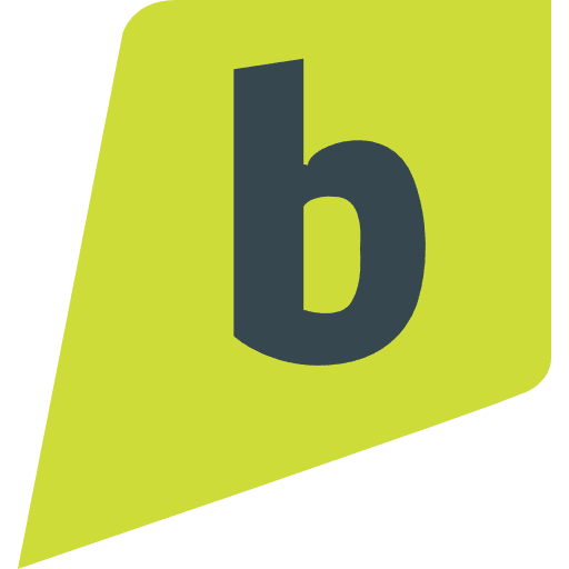 Brightkite social social network network icon