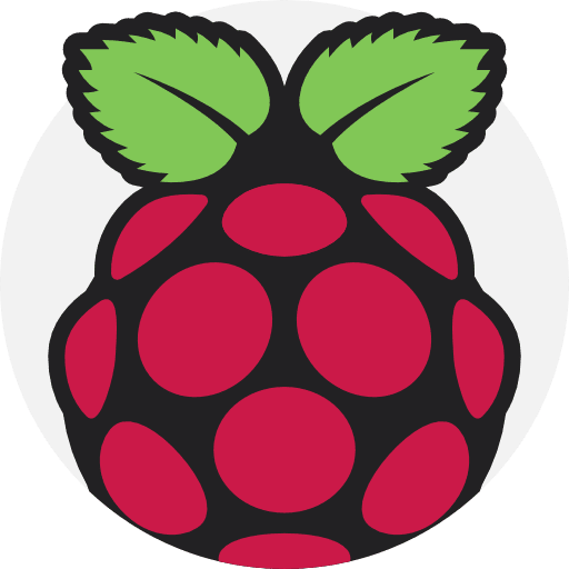 Raspberry pi brands and logotypes logos raspberry pi icon