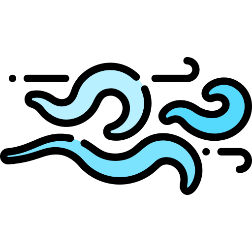 Wind winter snowflake windy icon