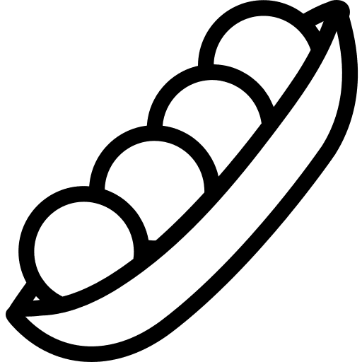 Beans vegan beans organic icon