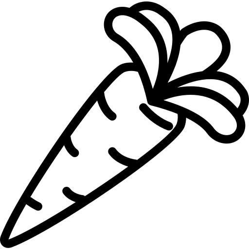 Carrot vegan food organic icon