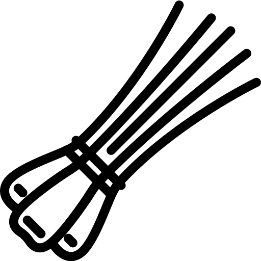 Chives food cook healthy icon