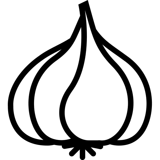 Garlic fruit clove garlic garlic icon