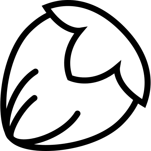Hazelnut hazelnut nut food icon