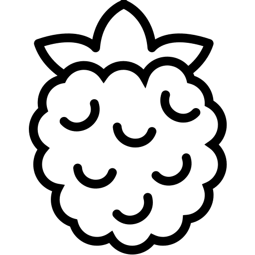 Raspberry blackberry raspberry fruit icon