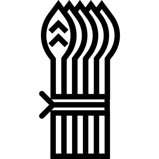 Asparagus vegan healthy asparagus icon