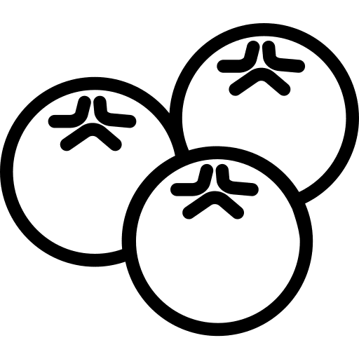 Blueberries food healthy blueberries icon