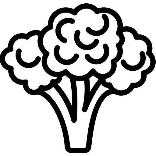 Broccoli vegetable vegetables healthy icon