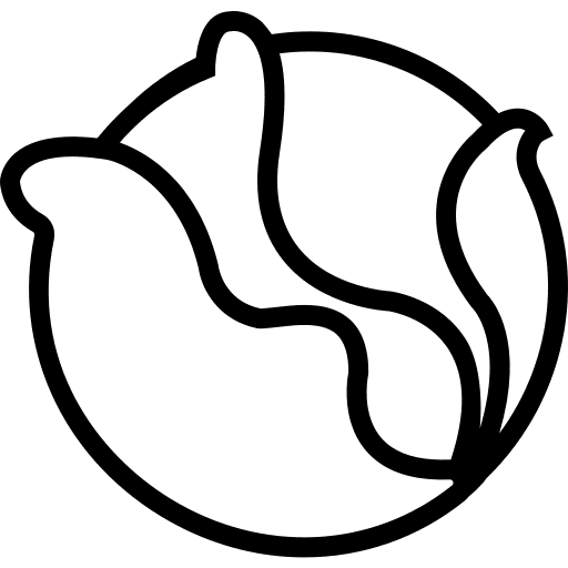 Cabbage cabbage fruit healthy food icon