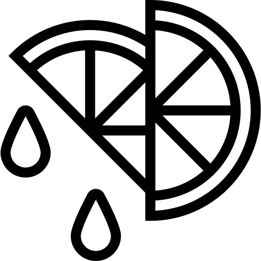 Lemon dessert citrus fruit icon