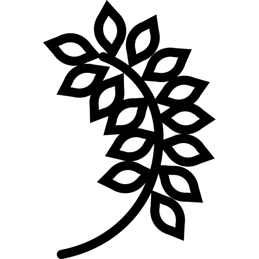 Oat oat organic grain icon