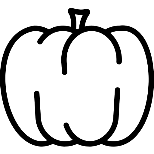 Pumpkin vegan food vegetarian icon