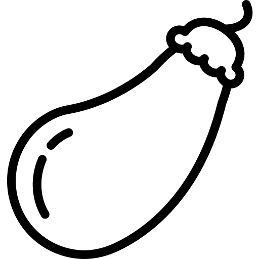 Aubergine vegetable food vegetarian icon