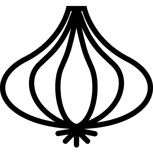 Onion onions vegetable vegetables icon