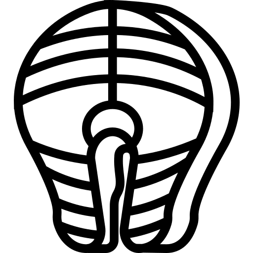 Salmon food healthy salmon icon