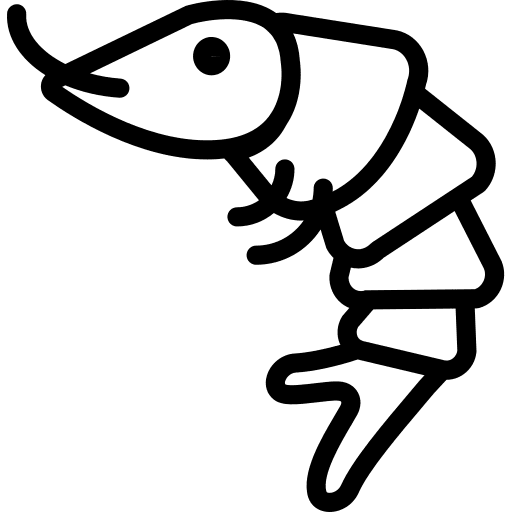 Shrimp food shellfish sea life icon