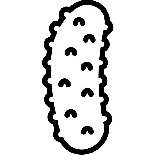 Cucumber cucumber organic healthy food icon