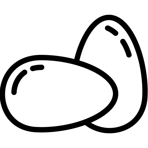 Eggs egg animals eggs icon